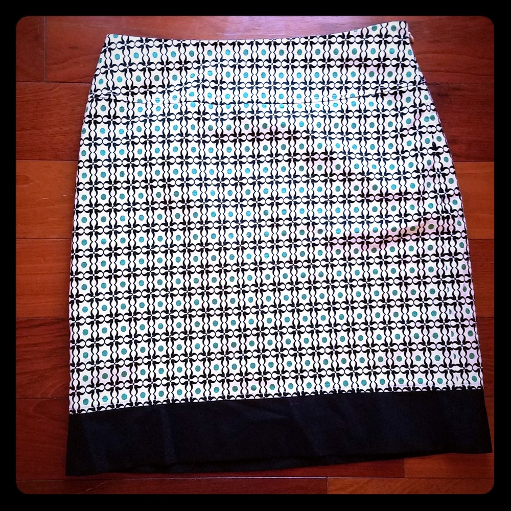 Ann Taylor skirt